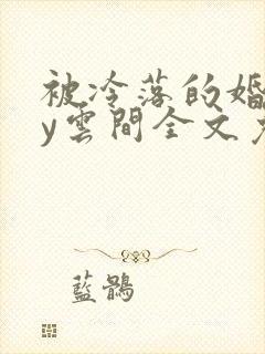 被冷落的婚姻by云间全文免费笔趣阁封面
