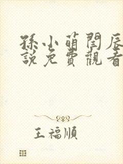 孙小萌闫辰的小说免费观看封面