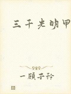 三千光明甲
