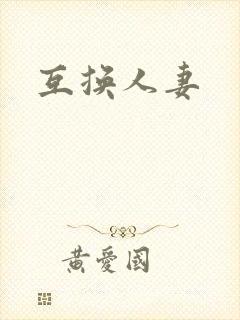 互换人妻封面
