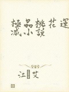 极品桃花运未删减小说