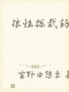 狼性总裁的尤物封面