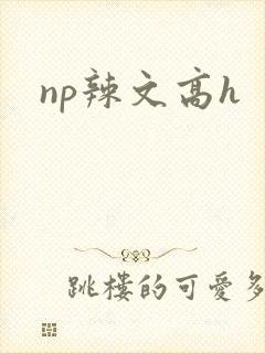 np辣文高h封面