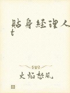 贴身经理人txt封面