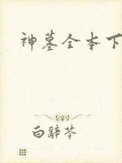 神墓全本下载封面