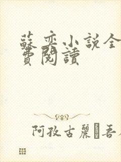 苏奕小说全文免费阅读