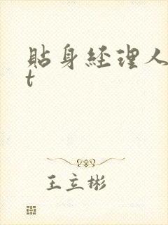 贴身经理人txt