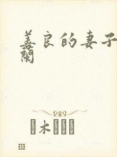 善良的妻子王晓兰
