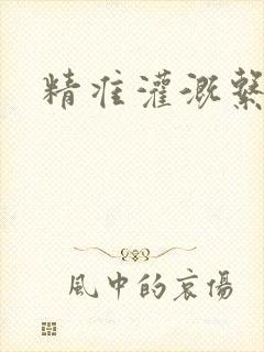精准灌溉系统