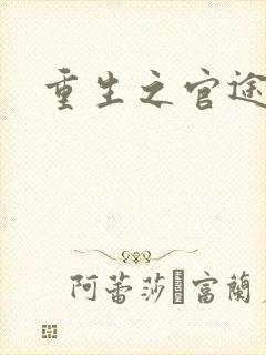 重生之官途辉煌
