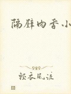 隔壁肉香小说