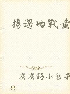 杨过肉战黄蓉