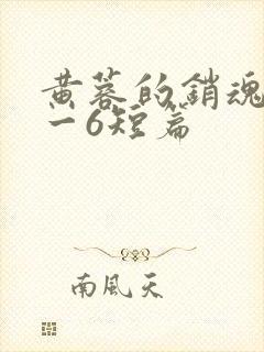 黄蓉的销魂夜1一6短篇