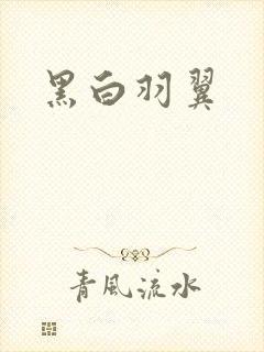 黑白羽翼封面