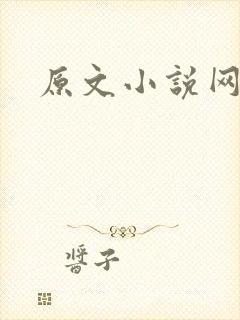 原文小说网