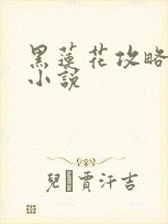 黑莲花攻略手册小说