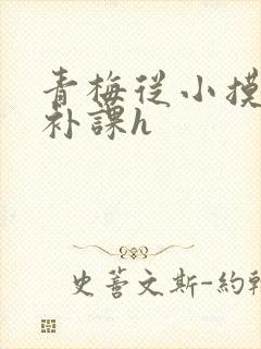 青梅从小摸到大补课h