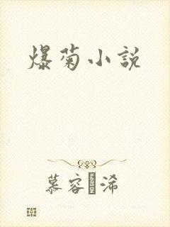 爆菊小说