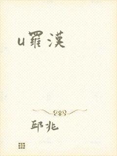 u罗汉封面