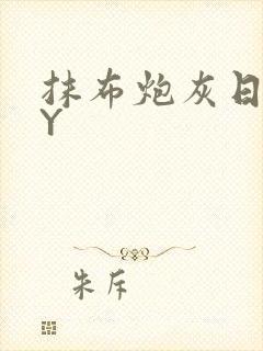 抹布炮灰日记BY封面