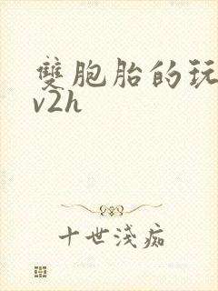 双胞胎的玩具1v2h