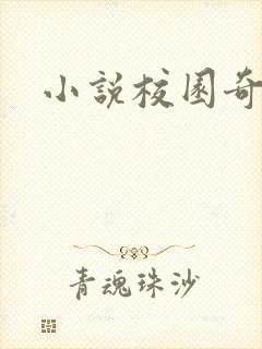 小说校园奇侠