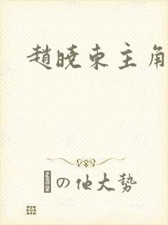 赵晓东主角小说
