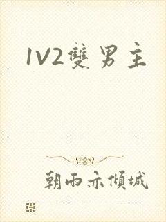 1V2双男主