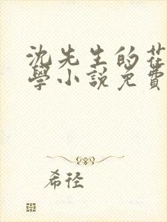 沈先生的花式教学小说免费封面