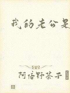 我的老公是军阀