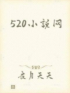 520小说网