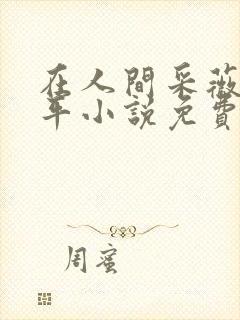 在人间采薇陆三平小说免费阅读封面