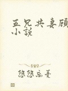 五兄共妻顾心儿小说封面