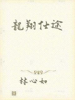 龙翔仕途