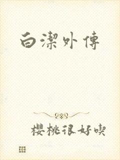 白洁外传