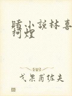 赌小说林喜朝和柯煜