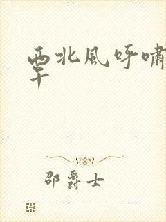 西北风呼啸的中午