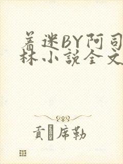 着迷BY阿司匹林小说全文免费阅读