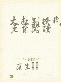 大叔别撩我小说免费阅读