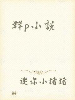 群p小说