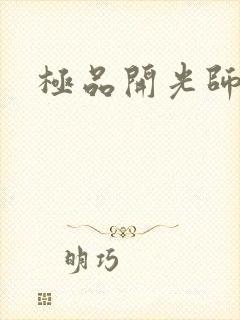 极品开光师