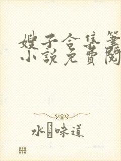 嫂子合集笔趣阁小说免费阅读封面