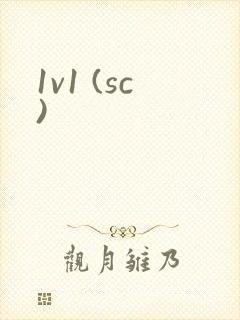 1v1 (sc)