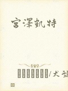 宫泽凯特