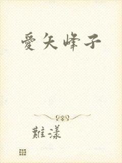 爱矢峰子封面