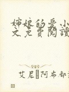 婶娘的爱小说全文免费阅读