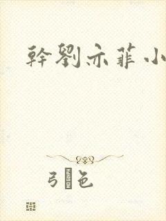 干刘亦菲小说