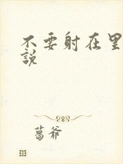 不要射在里面小说