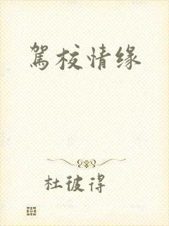 驾校情缘封面