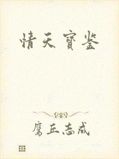 情天宝鉴封面